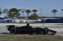 Marco Andretti, Andretti, IndyCar, Sebring, 2018