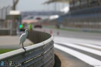 Bahrain International Circuit, 2019