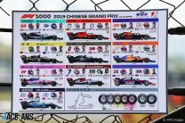 Car and driver details, Shanghai International Circuit, 2019