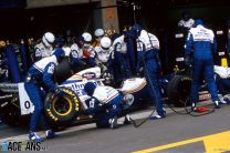 Damon Hill, Williams, Interlagos, 1994