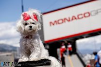 Paddock Diary: Monaco Grand Prix part one